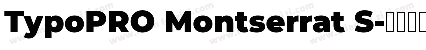 TypoPRO Montserrat S字体转换